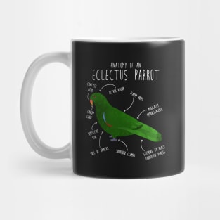 Male Eclectus Anatomy Mug